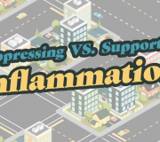 Feature Image: Suppressing vs. Supporting Inflammation