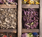 Feature Image: Botanicals for Inflammation