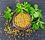 Feature Image: Fenugreek for Glucose Management and Breastfeeding