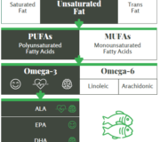 Feature Image: Unfolding Fatty Acids